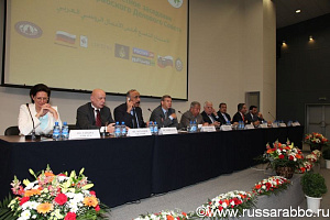 الاجتماع التاسع لمجلس الأعمال الروسي العربي